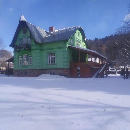 U Zabky Apartment Horni Marsov Exterior photo